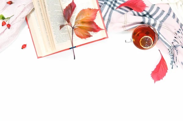 Thee en boek versierd met sjaal en herfst bladeren lege ruimte — Stockfoto
