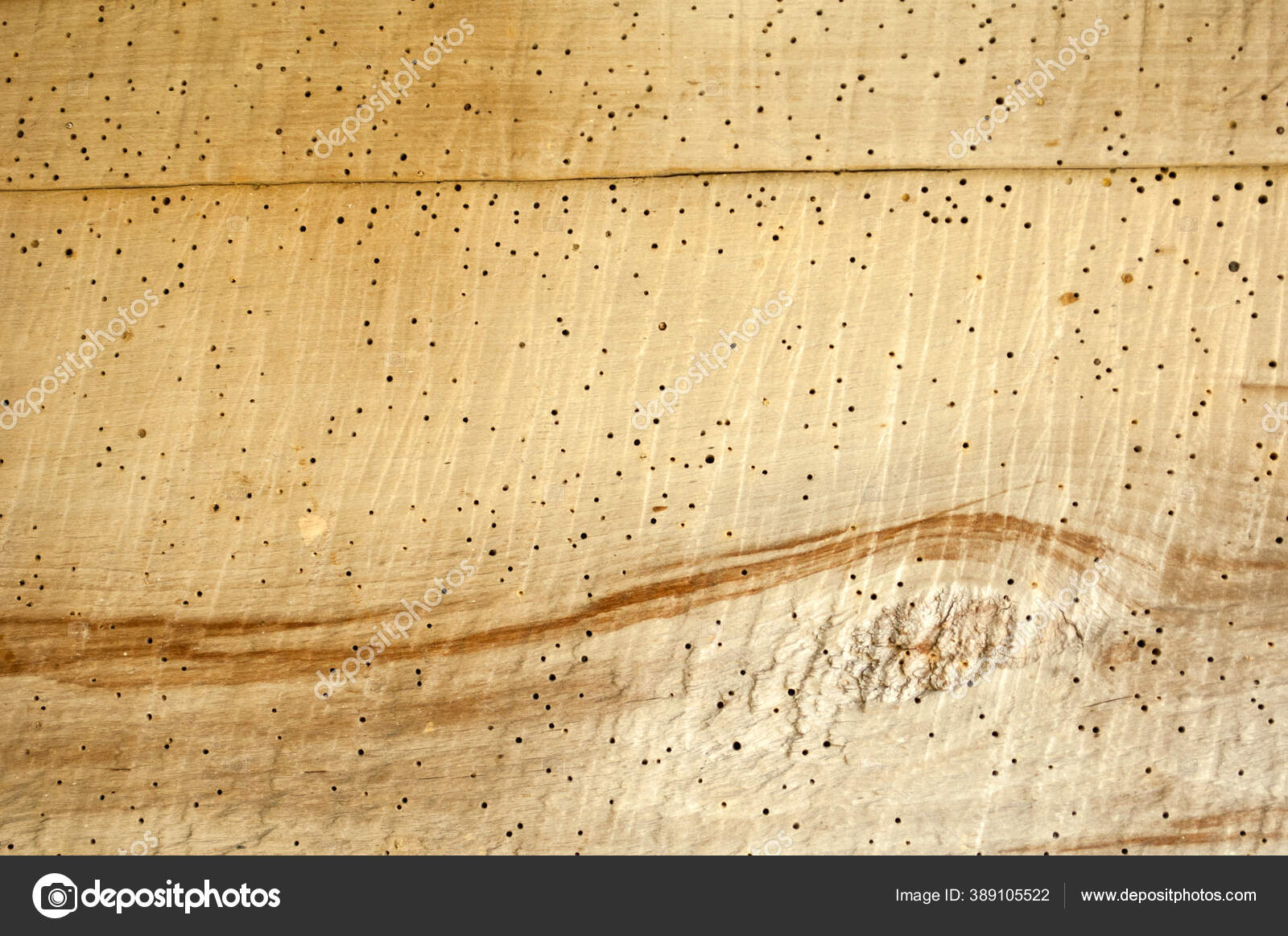 Bright Wood Texture Holes Beetles Brown Pattern Defects Wood Damage