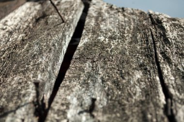 Gökyüzünde çivi olan eski çürük ahşap çatı güneşli bir günde eski hasarlı tahta, çaylak