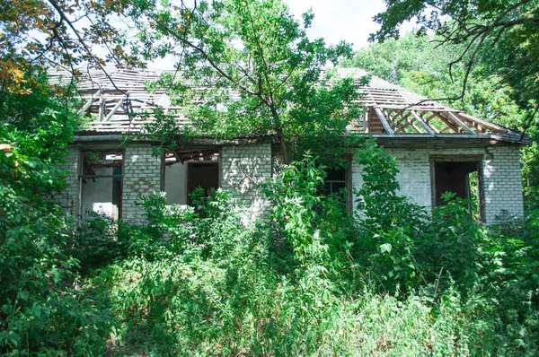 窓のない荒廃した家 雑草や木で生い茂った チェルノブイリ原発事故の連続 — ストック写真
