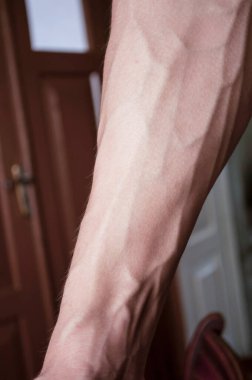 forearm of the guy of 18 years with very convex veins, inside clipart