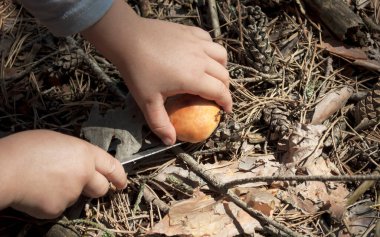 Çocuk mantarı parmağıyla tutuyor.