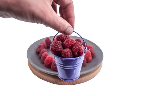 Ember Kecil Dengan Raspberry Besar Tangan Latar Belakang Piring Dengan — Stok Foto