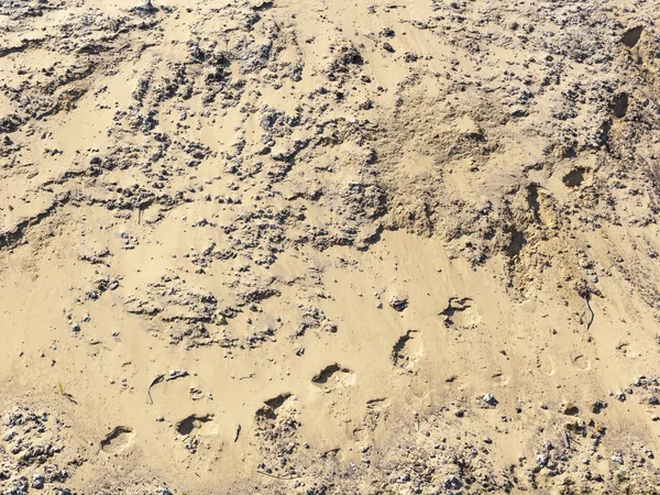 Una Gran Pila Arena Amarilla Con Piedras Rastros Ella — Foto de Stock