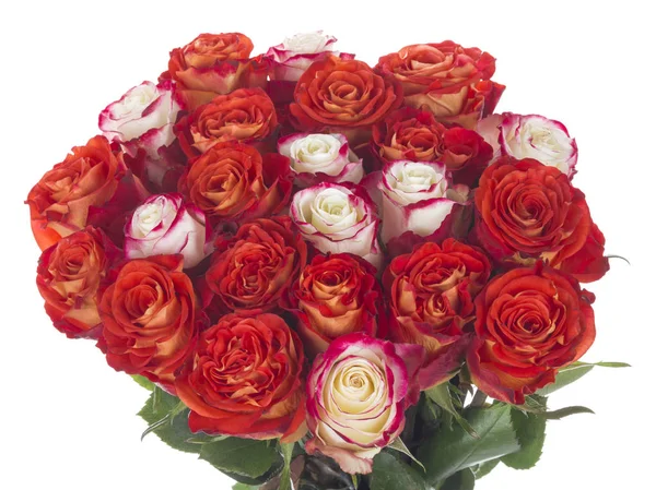 Bright Spectacular Bouquet Fresh Beautiful Red White Roses Pink Border — Stock Photo, Image
