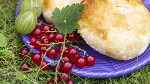 おいしい甘い新鮮なタルト 赤スグリと青いプレートにチーズケーキ ベリー緑の草の上屋外夏 — ストック写真
