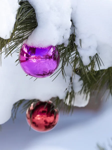 Neve Macia Brilhante Branca Pinheiro Verde Decorações Natal Outsid Inverno — Fotografia de Stock