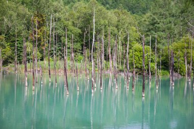Doğal sahne Biei Mavi Göl, Biei, Japonya'da ünlü seyahat hedef