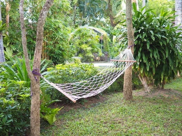 Weißes Netzbett Mit Bäumen Garten Zur Erholung — Stockfoto