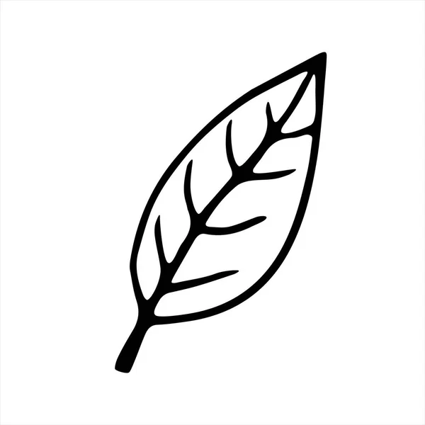 ベクトル手の落書きスタイルで植物の葉のイラストを描いた 白い背景に隔離された空のアウトライン スクラップブッキング ぬり絵 テーマデザインのためのシンプルなデザイン — ストックベクタ