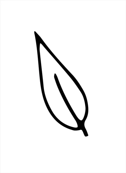 Vector Hand Getekend Illustratie Van Plantenblad Doodle Stijl Lege Omtrek — Stockvector