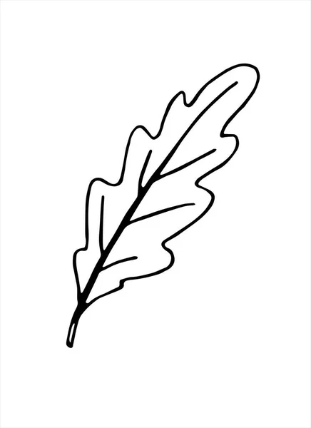 オークの葉のベクトル図 自然のデザインの人形やアウトライン要素 白い背景に隔離された黒い輪郭 — ストックベクタ