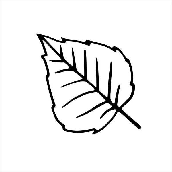 単純な抽象ベクトル葉 フリーハンドのドローイング ドアスタイルの自然秋の要素 ぬり絵 ブラックアウトライン 白地に描かれた手描きイラスト — ストックベクタ