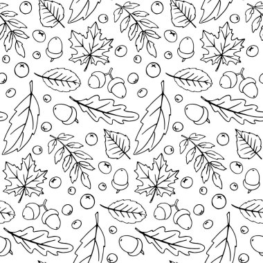 Dökülen yapraklar, meşe palamutları, böğürtlenler. Beyaz arka planda izole edilmiş vektör sonbahar dokusu, çizim tarzında el çizimi, siyah ana hatlar. Orman kavramı, yaprak düşüşü, doğa, şükran günü.