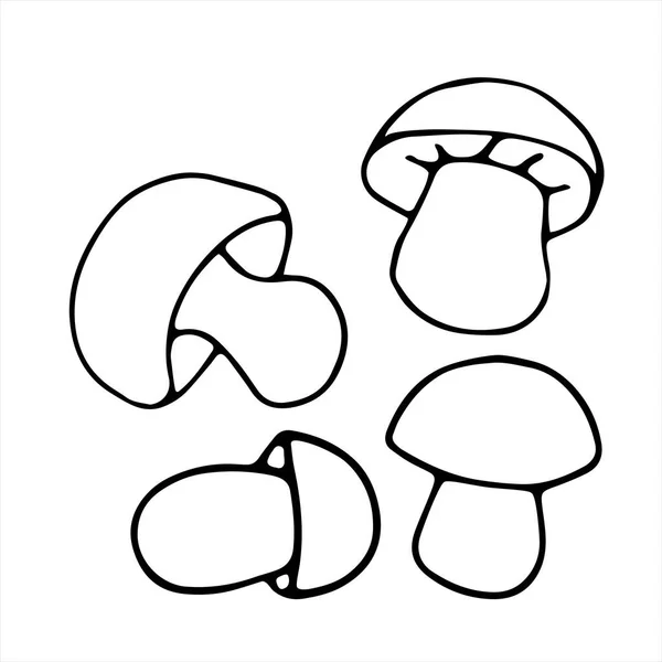 Set Hand Drawn Vector Mushrooms Black Simple Outlines Isolated White — Stock Vector