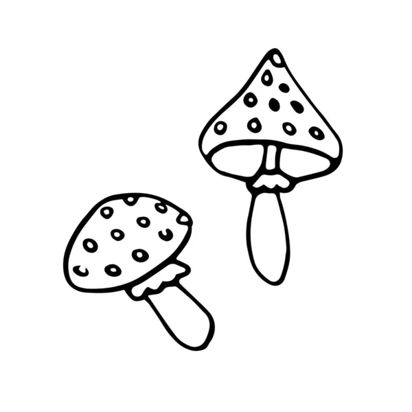 Icona Contorno Disegnata Mano Fungo Agarico Mosca Nello Stile Doodle — Vettoriale Stock