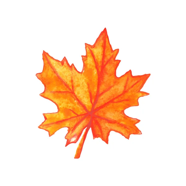 Handritade Lönnlöv Isolerad Vit Bakgrund Akvarell Symbol För Hösten Naturen — Stockfoto