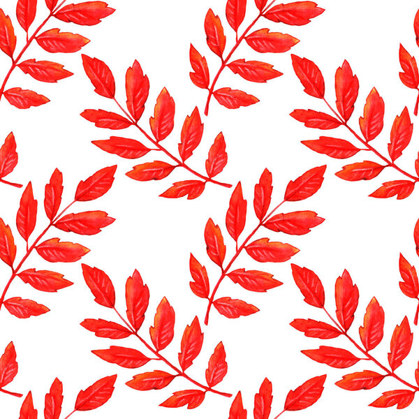 Акварель осенний рябь оставляет бесшовный узор. Цветной осенний фон и текстура,