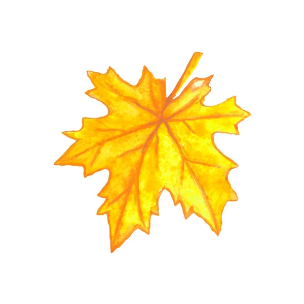 Ręcznie Rysowany Liść Klonu Izolowany Białym Tle Akwarelowy Symbol Jesieni — Zdjęcie stockowe