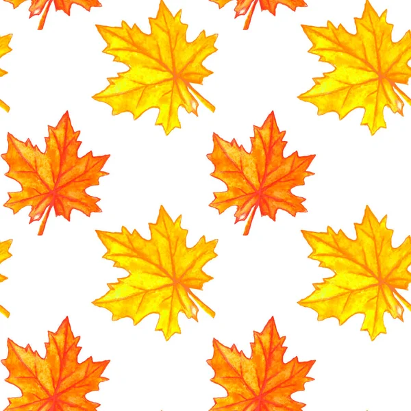 Sonbahar suluboya akçaağaç kusursuz bir iz bırakır. Renkli sonbahar arkaplanı ve dokusu,