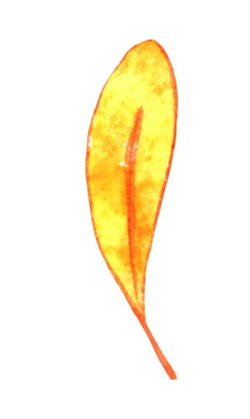 Акварельная Иллюстрация Желтого Осеннего Абстрактного Листа Элементы Дизайна Природы Изолированы — стоковое фото