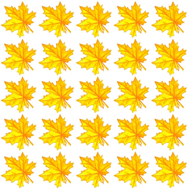 Watercolor Maple Musim Gugur Daun Pola Mulus Warna Latar Belakang — Stok Foto