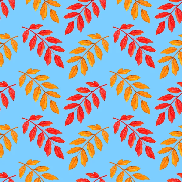 Aquarell Herbst Eberesche Blätter Nahtlose Muster Bunte Hintergründe Und Texturen — Stockfoto