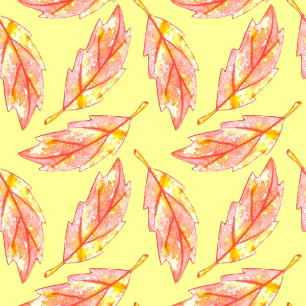 분홍빛 은가을에 솔기없는 무늬를 남긴다 디자인에 가정용 감사의 — 스톡 사진
