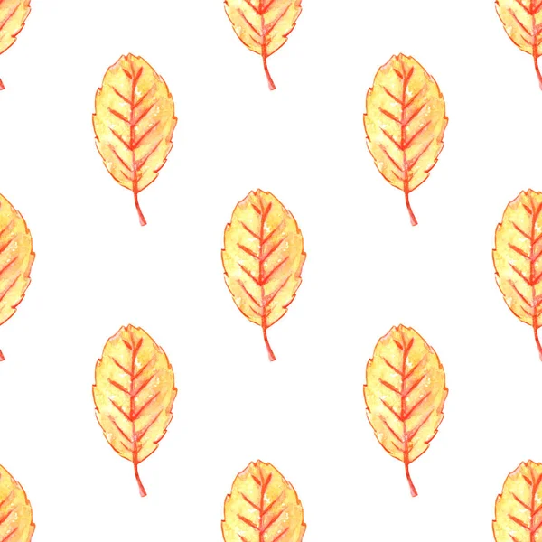 Watercolor aspen leaves seamless pattern. Colorful autumn background and texture for seasonal design, packaging, home textiles, fabric, thanksgiving theme and happy fall.