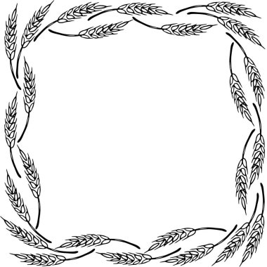 Frame made of wheat or rye ears. Vector autumn border hand drawn in Doodle style, black outline isolated on white background. clipart