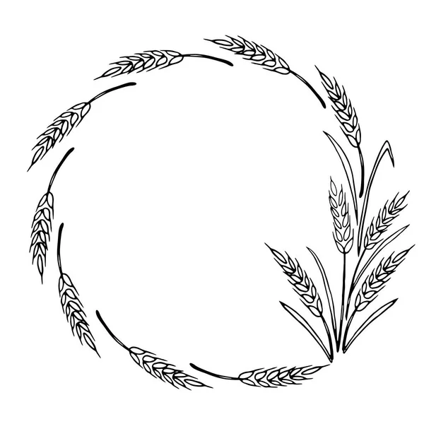 小麦やライ麦の耳で作られたフレーム ベクトル秋の花輪手の落書きスタイルで描かれ 白の背景に隔離された黒い輪郭 — ストックベクタ