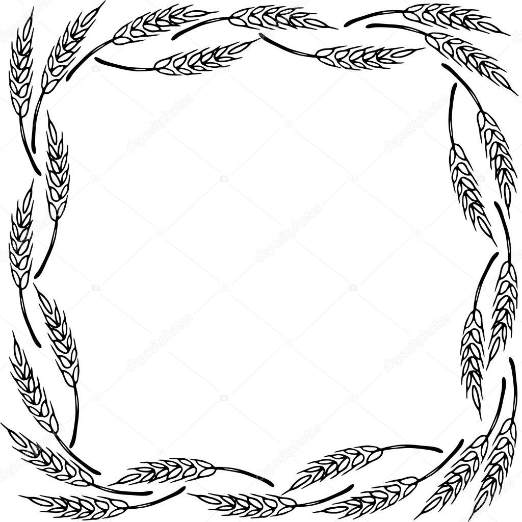 Frame made of wheat or rye ears. Vector autumn border hand drawn in Doodle style, black outline isolated on white background.