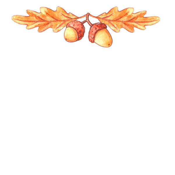 Коллекция Натурального Дизайна Элемент Акварели Желудей Дубовых Листьев Осенний Декор — стоковое фото