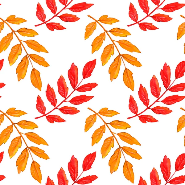 Watercolor Autumn Rowan Leaves Seamless Pattern Colorful Backgrounds Textures Seasonal — Stock Photo, Image