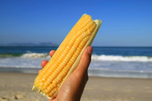 Köstlich Gedämpfter Mais Auf Dem Maiskolben Der Hand Gegen Welliges — Stockfoto