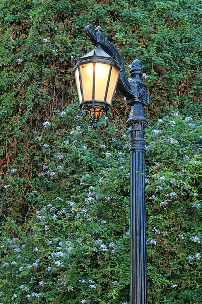 Régi Divatos Utcai Lámpa Kék Vízvezeték Virágzó Bokrok Háttérben — Stock Fotó
