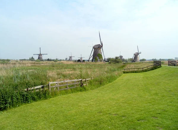 Grupo Auténticos Molinos Viento Holandeses Kinderdijk Países Bajos —  Fotos de Stock