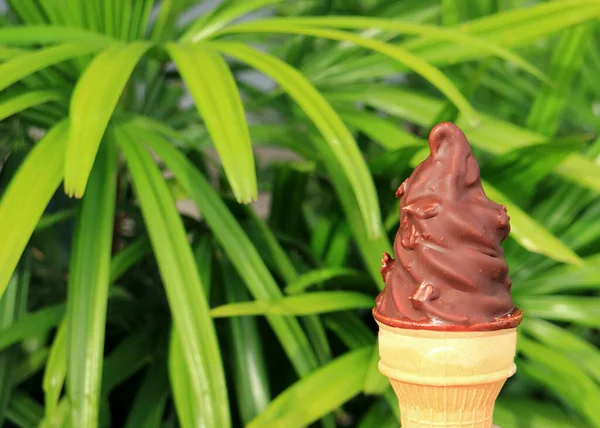 Vista Frontal Cone Sorvete Suave Mergulhado Chocolate Folhagem Verde Desfocada — Fotografia de Stock