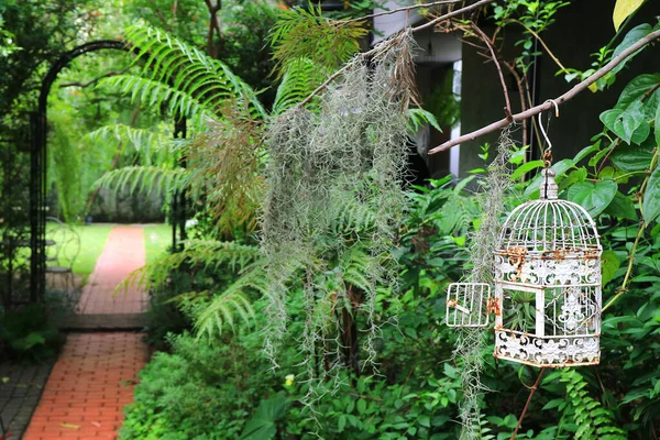Biała Pusta Klatka Dla Ptaków Tropikalnym Ogrodzie Cegłami Brukowanymi Chodnikiem — Zdjęcie stockowe