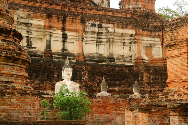 Historický Buddha Images Wat Yai Chai Mongkhon Starověký Chrám Ayutthaya — Stock fotografie