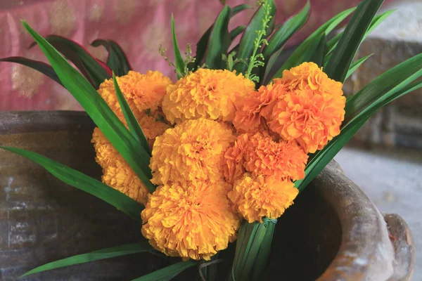 Квіти Квітів Маріґольд Буддійському Храмі Таїланді — стокове фото