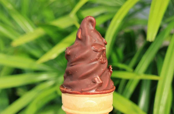 Chocolate Mergulhado Soft Serve Ice Cream Cone Com Folhagem Verde — Fotografia de Stock