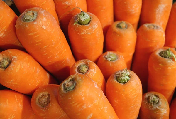 Bunch Vibrant Color Carrots Selective Focus Background Texture — Stok Foto