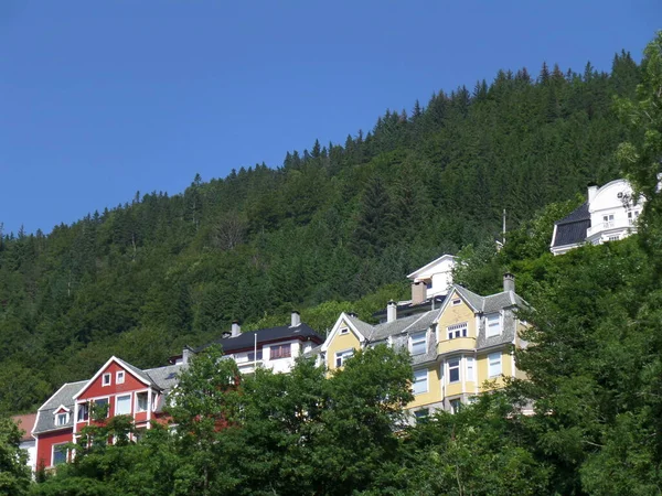 Färgglada Hus Sluttningen Bland Djupa Gröna Träd Bergen Hordaland Norge — Stockfoto