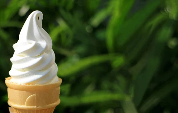 Cono Blanco Puro Del Helado Porción Suave Vainilla Luz Del — Foto de Stock