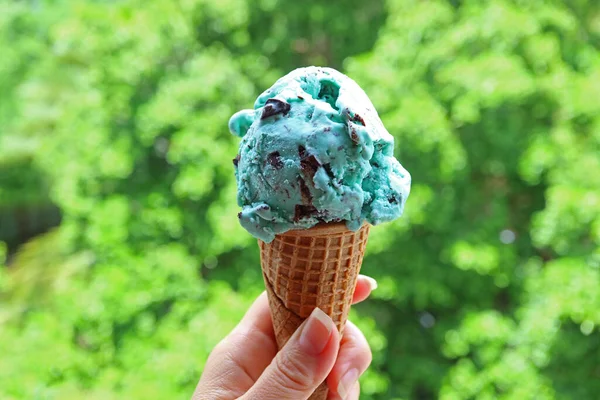ミントのコーンチョコレートチップアイスクリーム手にブラリーグリーンの葉に対して背景 — ストック写真