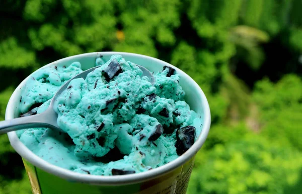 Kanál Scooping Mint Choc Chip Ice Cream Elmosódott Zöld Lombozat — Stock Fotó