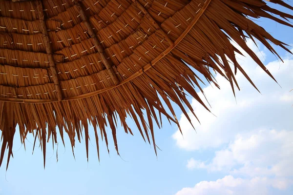 Thatched Plajı Şemsiyesi Mavi Güneşli Gökyüzüne karşı
