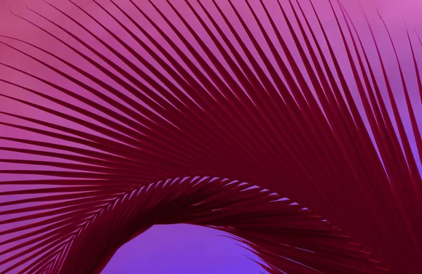 Pop Art Style Wine Red Colored Palm Tree Leaf Purple — Stock Photo, Image