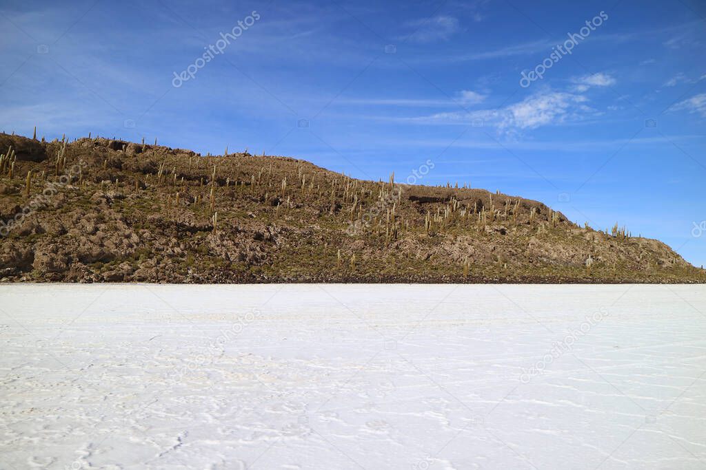 The Rocky Outcrop on Uyuni Salt Flats Kmown as Isla del Pescado or Isla Incahuasi with Uncountable Giant Cactus Plants, Bolivia, South America